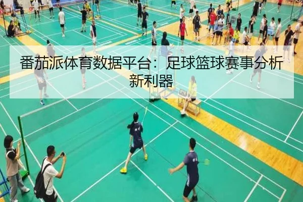番茄派体育数据平台：足球篮球赛事分析新利器