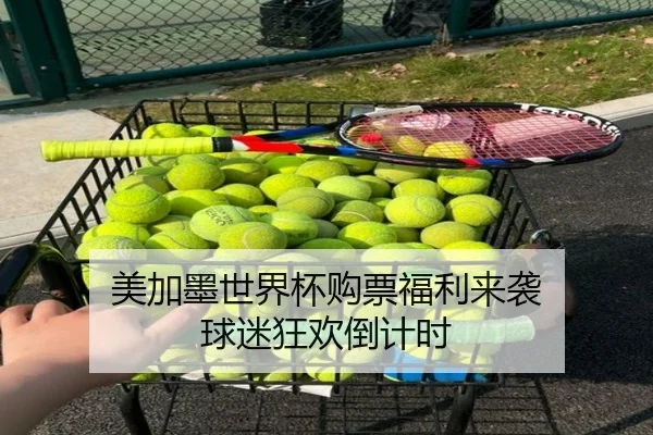 美加墨世界杯购票福利来袭 球迷狂欢倒计时